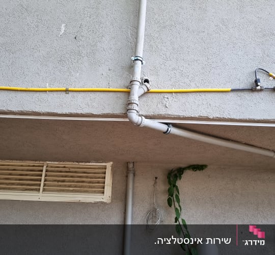 צינורות מים וקיר חיצוני עם צמח מטפס